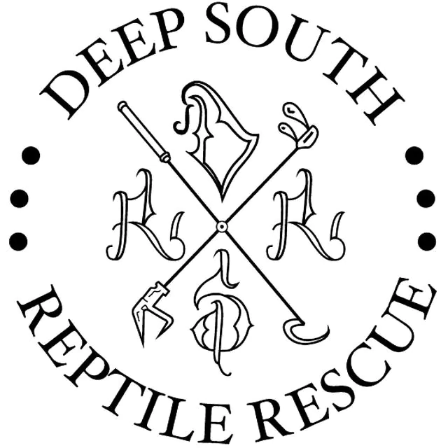 Deep South Reptile Rescue WhatsApp Channel