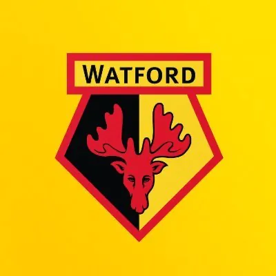 Watford FC 🐝 WhatsApp Channel